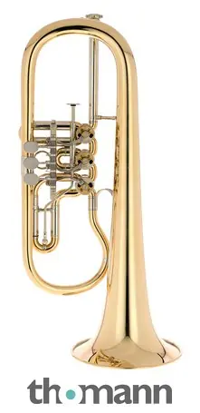 Nakupujte Hned Gerd Dowids BZ-Series Bb-Flugelh. G88 raw