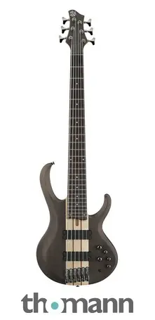 Nejprodávanější Ibanez BTB606-TGF