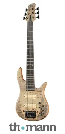 Fodera Monarch Custom 6 Buckeye Přímo Od Výrobce