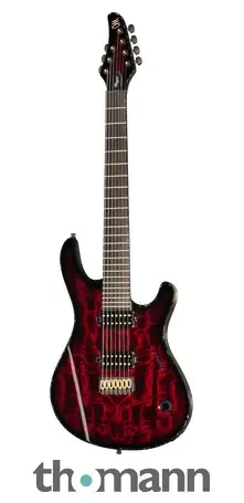 Mayones Guitars Regius 7 TDRG Aktuální
