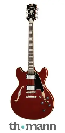 Zlevněný DAngelico Premier DC Burnt Red
