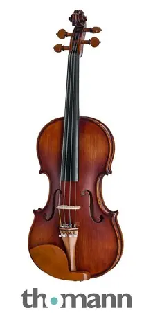 Roth & Junius Europe Orchestra Violin St/Bw Akční Nabídka