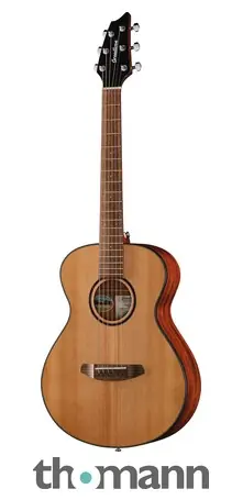 Finální Výprodej Breedlove Discovery S Companion