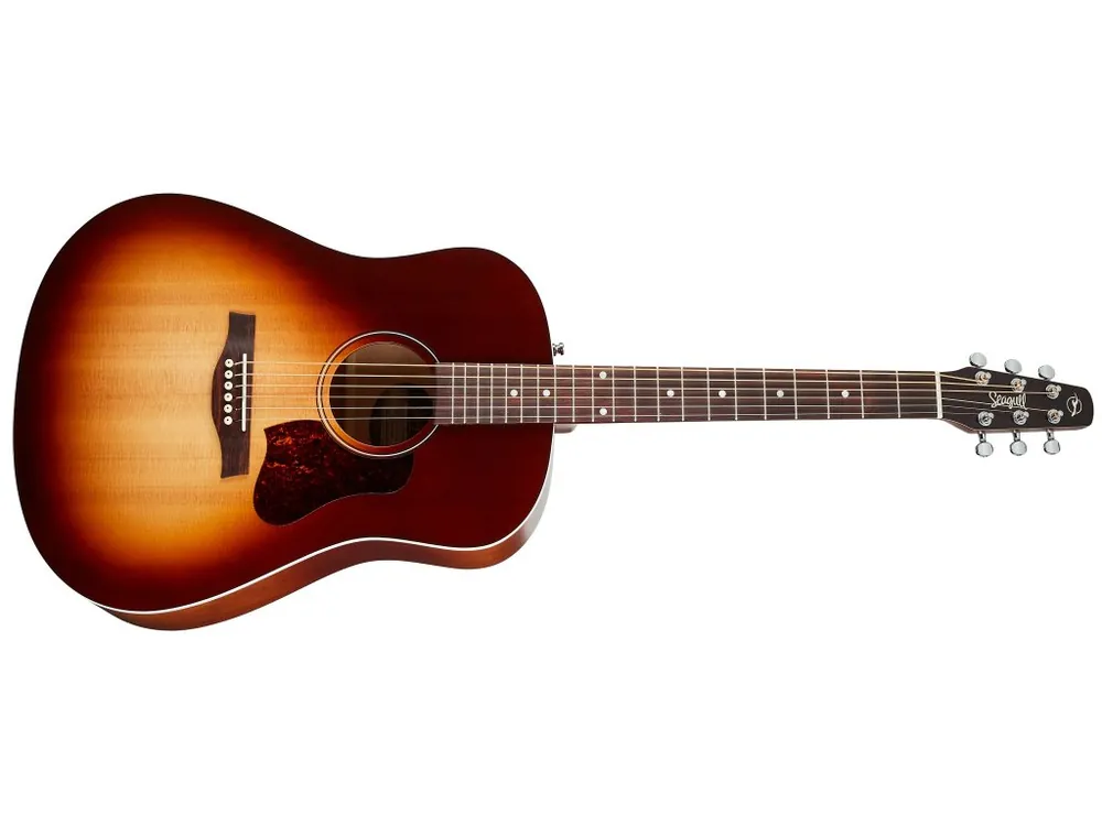 Speciální Cena Akustická kytara SEAGULL Entourage Autumn Burst