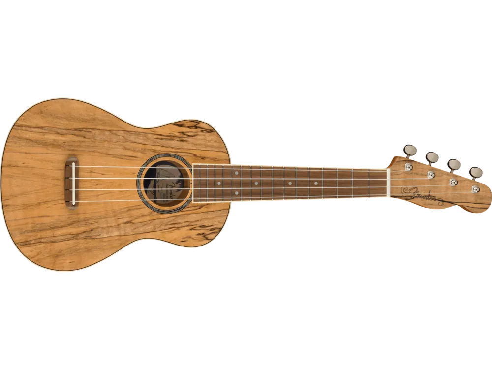 Autentický FENDER Zuma Exotic Concert Ukulele WN SM