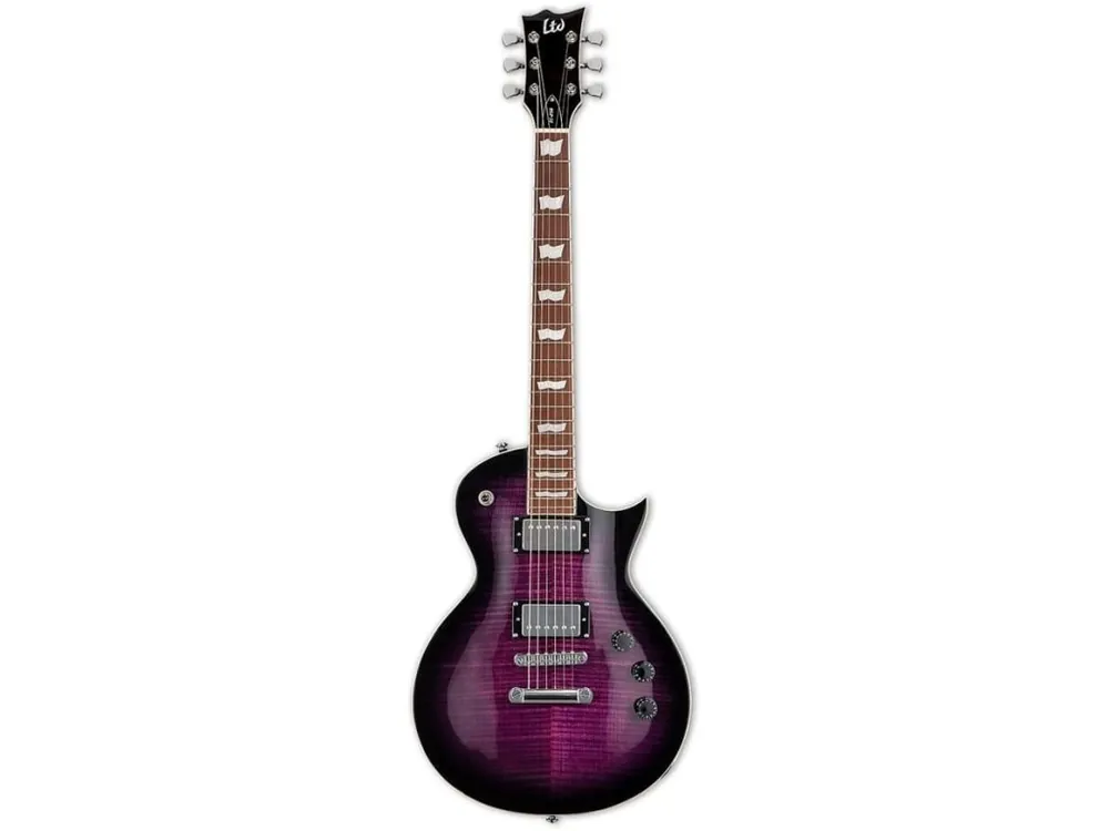 Odeslání Ihned ESP LTD EC-256FM STPSB