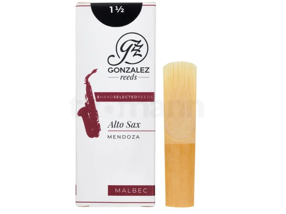 Objednat Nyní Gonzalez MALBEC Alto Saxophone 1.5