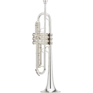 Nová Kolekce XO BRASS XO1602SSLTR