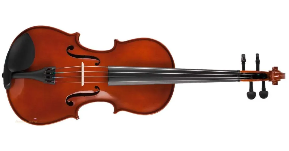 SOUNDSATION Viola VS - 15,5 Nová Kolekce