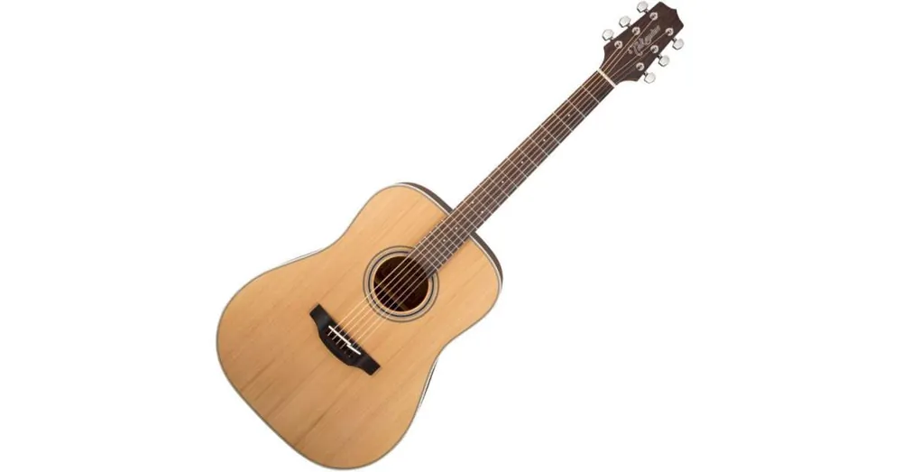 Takamine GD20-NS Značkový