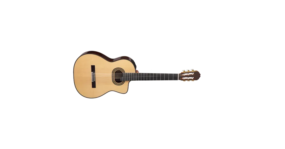 Takamine TH90-guitar Odeslání Ihned
