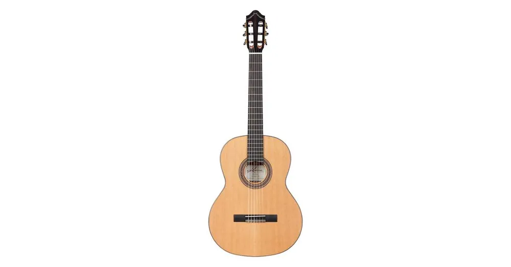 Přímo Od Výrobce Kremona All Solid SOLEA SAC