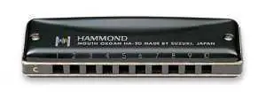 Bezpečná Platba Harmonika diatonická Suzuki HA-20 C Promaster Hammond