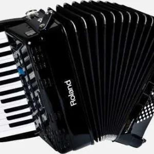 ROLAND FR 1X BK Nejlepší Cena