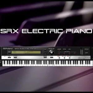 SRX ELECTRIC PIANO Key Ověřený