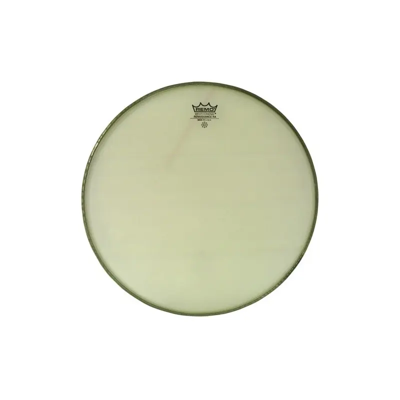 Remo Ambassador Renaissance 14" RA-0014-SS Nejprodávanější