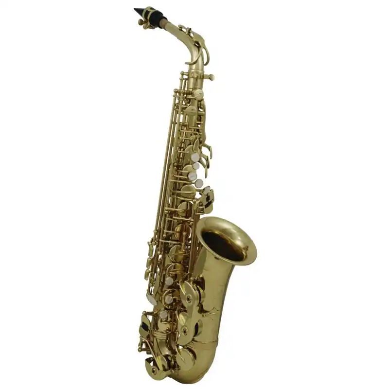 Odeslání Ihned Eb-Alt Saxofon Roy Benson AS-202 AS-202