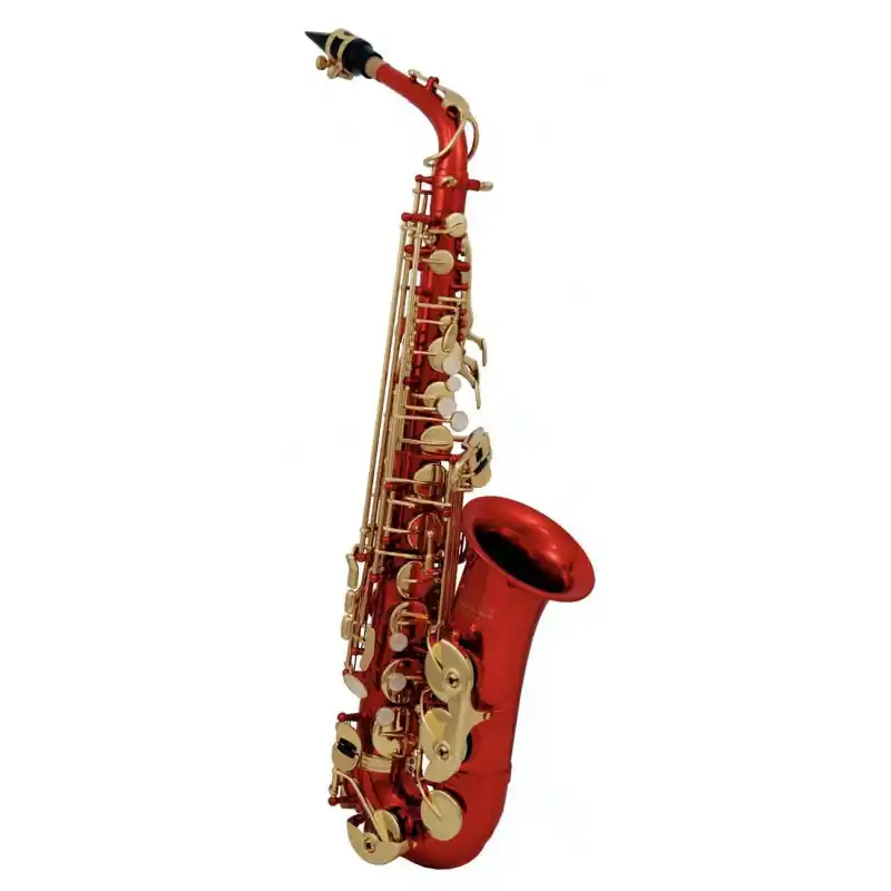 Expresní Doručení Eb-Alt Saxofon Roy Benson AS-202R AS-202R