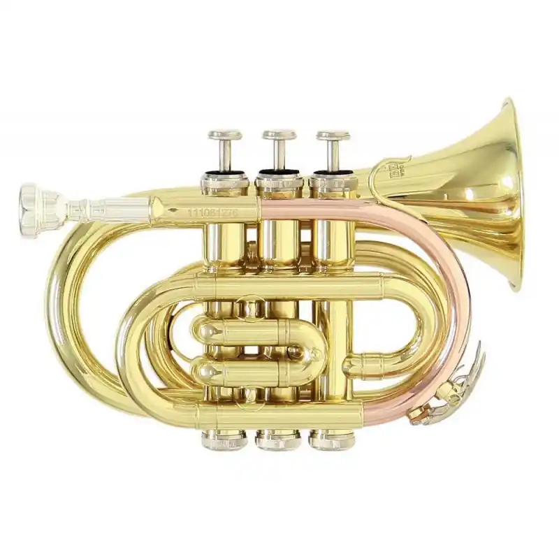 Nakupujte Hned Bb – kapesní trumpeta Roy Benson PT-101 PT-101