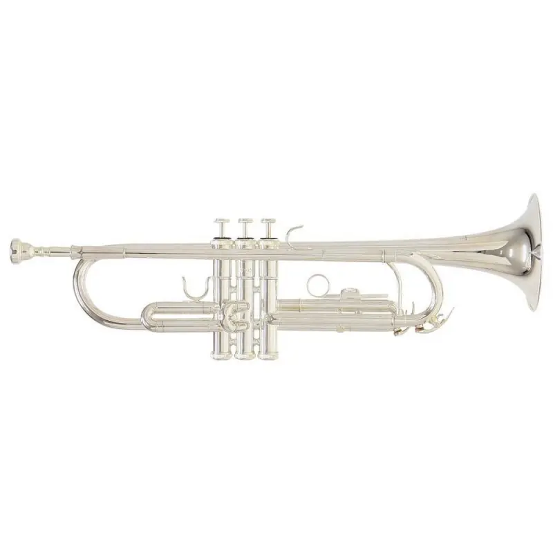 Expresní Doručení Bb-trumpeta Roy Benson TR-202S TR-202S