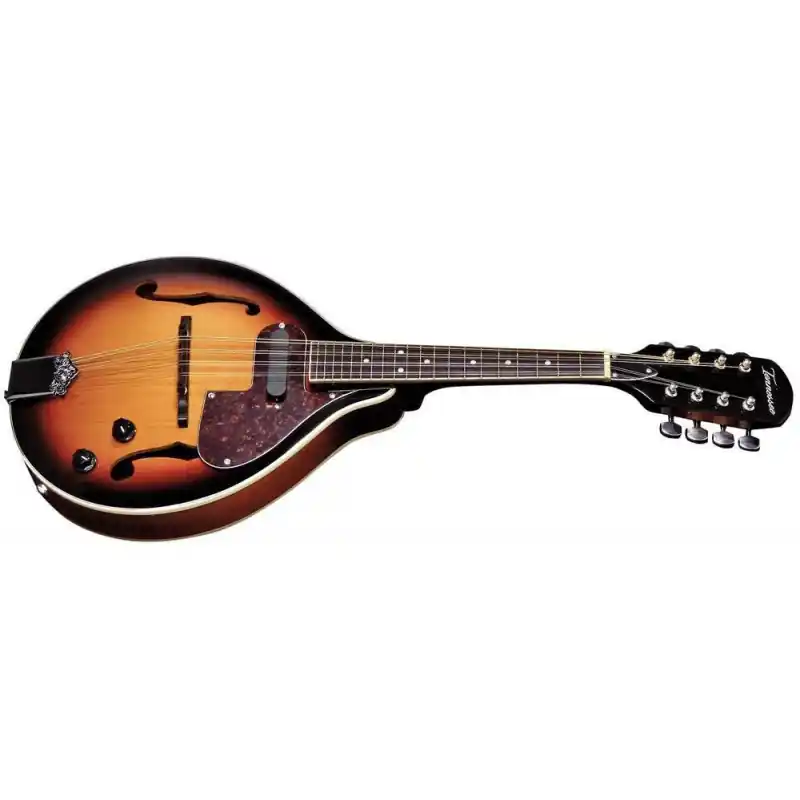 Rychlé Dodání Tennessee A-1 mandolína F Sunburst