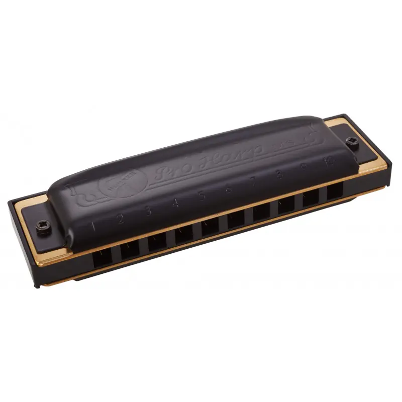 Autentický Hohner Pro Harp D-major