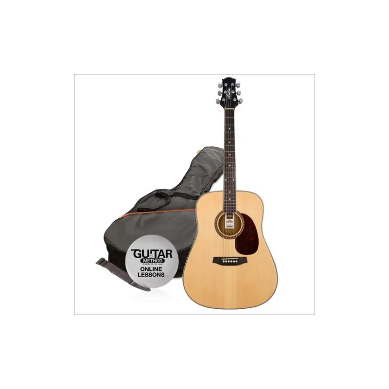 Ashton D25 NTM Pack 2014 - kytara dreadnought Koupit Online