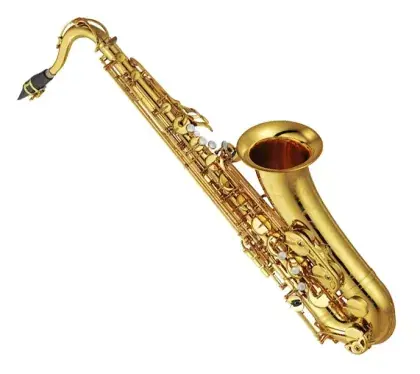 Must-Have Saxofon tenorový Yamaha YTS 82ZWOF 03