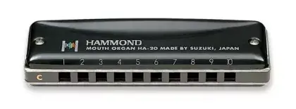 Akce Harmonika diatonická Suzuki HA-20 A Promaster Hammond