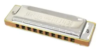 Odeslání Ihned Harmonika diatonická Hering 1120 Delta Blues Wood C