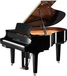 Disklavier Yamaha DC2X EN PE Pouze Dnes