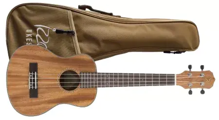 Omezená Nabídka Ukulele tenorové Izzo IZ320TM