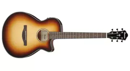 Aktuální Elektroakustická kytara Ibanez AEG50-DHH
