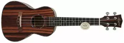 Ukulele koncertní se snímačem Aiersi SU204AE Finální Výprodej