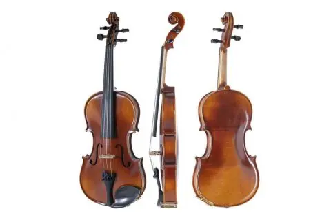 Expresní Doručení Housle Allegro-VL1