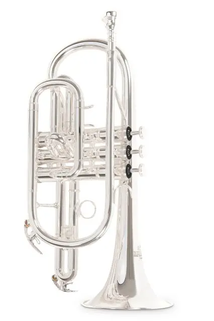 Originální Bb-kornet Roy Benson CR-202S