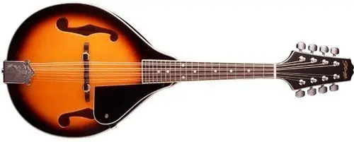 Nejprodávanější Stagg M20 S Mandolína
