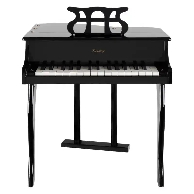 Objednat Nyní FunKey MGP-30 BK Mini křídlo černý lesk