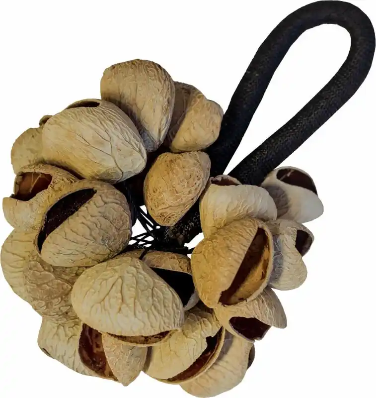 Poslední Šance Terre Hand Pangi Shaker