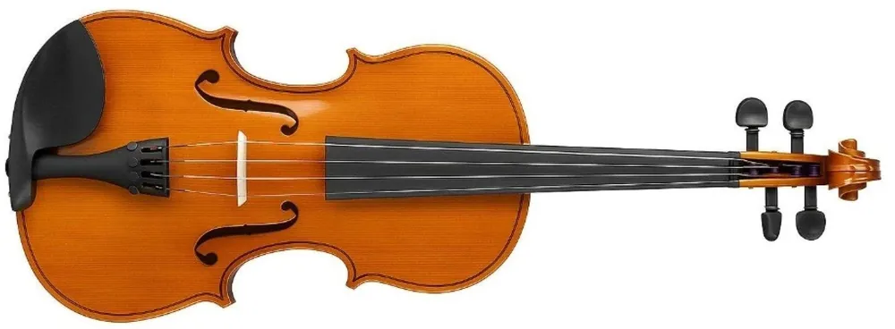 Valencia VA100 15,5" Viola Tovární Cena