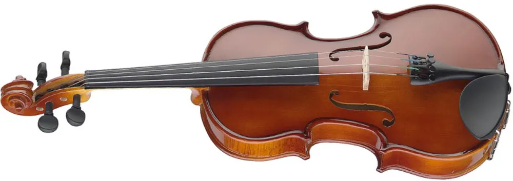 Stagg VN-3/4 EF, housle s pouzdrem Poslední Šance