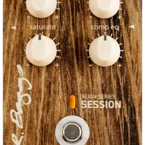 L.R.Baggs Align Session Levný