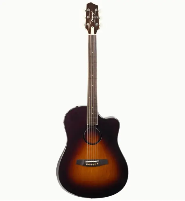 Super Cena L.R.Baggs AEG-1 SB