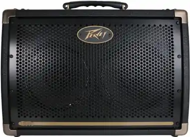 Novinka Peavey Ecoustic 208