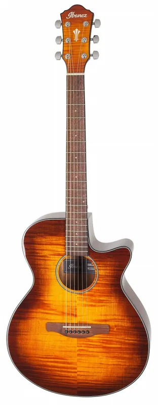 IBANEZ AEG70-VVH Nakupujte Hned