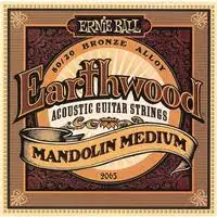 Koupit Online Ernie Ball 2065 mandolína