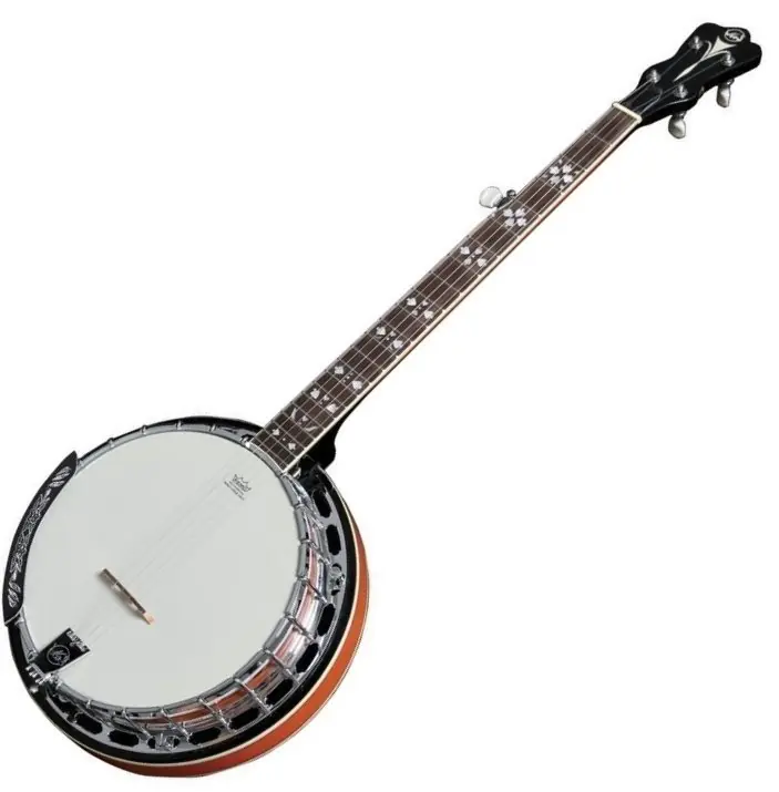 Must-Have Banjo VGS Premium 5.strunné