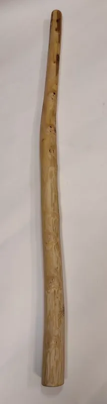Hit Sezóny Didgeridoo 2479