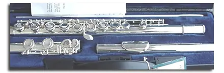 Příčná flétna Buffet Crampon BC6020 Výprodej
