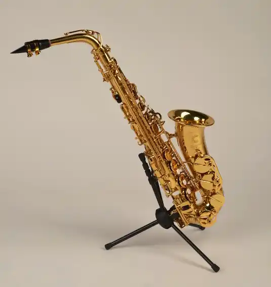Aktuální CLARINA CAS401